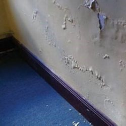 Damp Proofing company near me Rayleigh